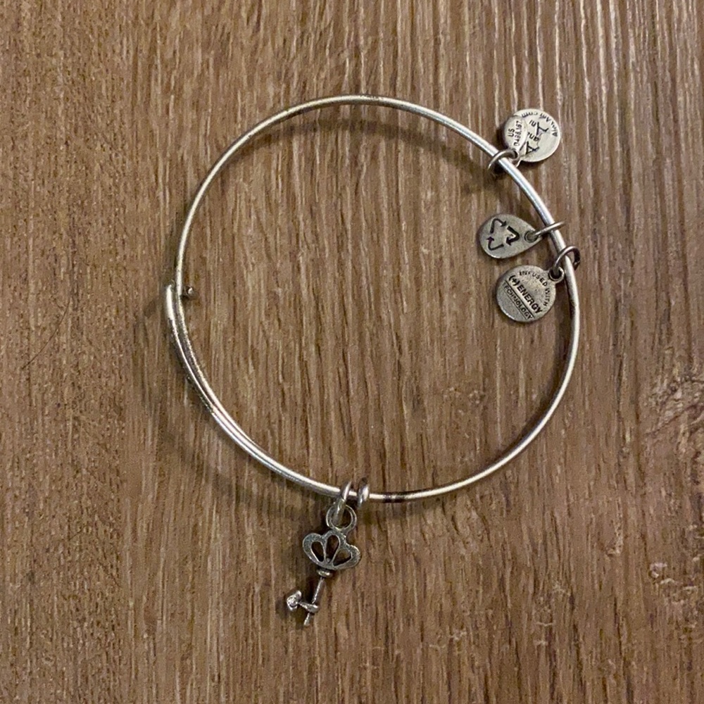 alex and ani bracelet